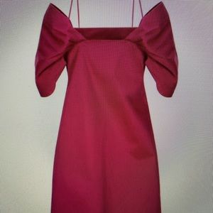 NWT Theory Women’s Pink Short Dress